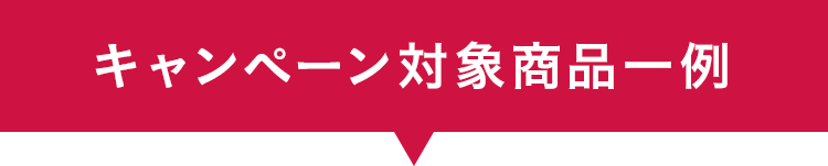 キャンペーン対象商品一例