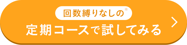 回数縛りなしの定期コースで試してみる