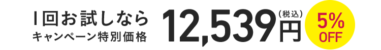 1回お試しならキャンペーン特別価格12,539円(税込)