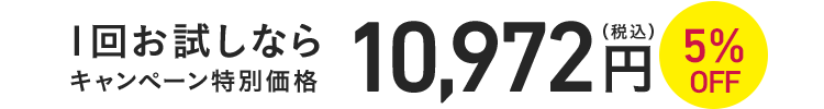 1回お試しならキャンペーン特別価格10,972円(税込)