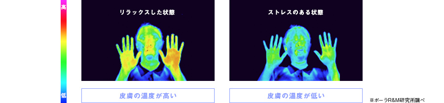 ストレスにより血流が低下。“肌冷え”に。