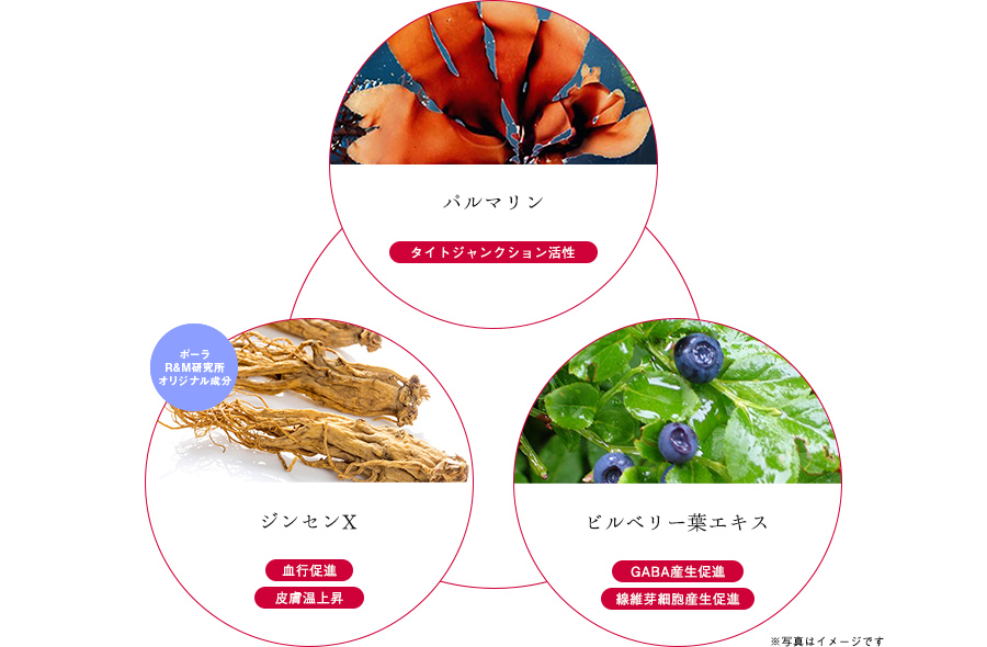 ストレスバリアコンプレックス®