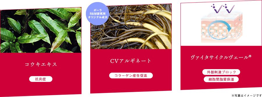 トリプルリペアシステム