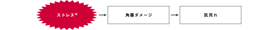ストレスによる肌荒れのメカニズム