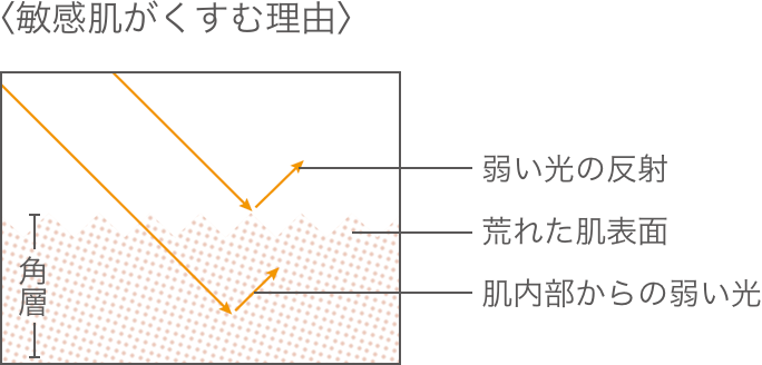 〈敏感肌がくすむ理由〉