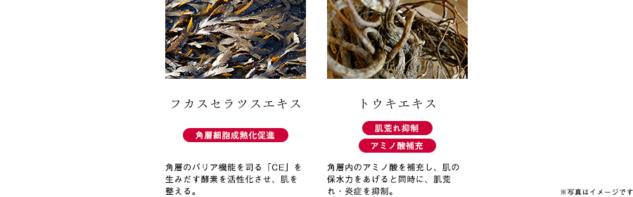 肌ダメージを修復し、スキンケア効果が効きやすい肌へ