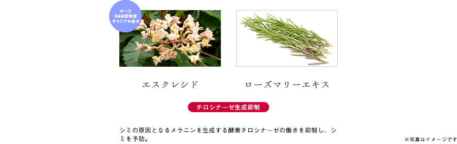 透明感サポート成分をW配合することで、明るく健やかな肌へ
