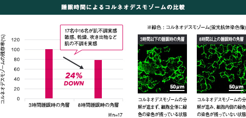 「睡眠不足」による肌荒れの原因を新解明。十分な睡眠の際に得られる輝きのある肌へ