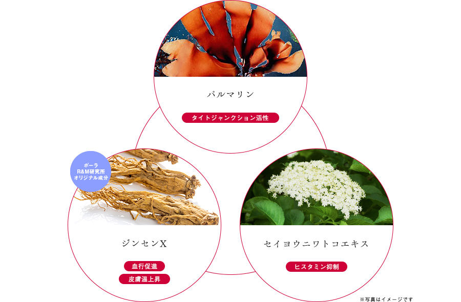 ストレスバリアコンプレックス®