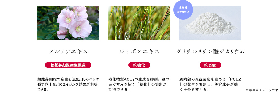 「睡眠不足」による肌荒れの原因を新解明。十分な睡眠の際に得られる輝きのある肌へ