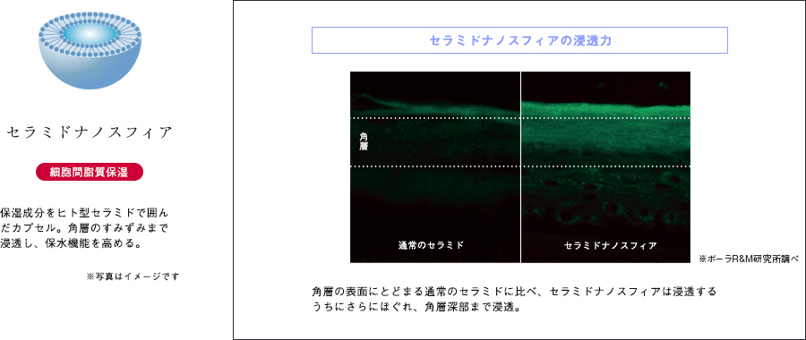 「睡眠不足」による肌荒れの原因を新解明。十分な睡眠の際に得られる輝きのある肌へ