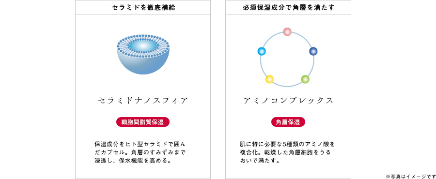 うるおいに満ち溢れた強く美しい肌へ。