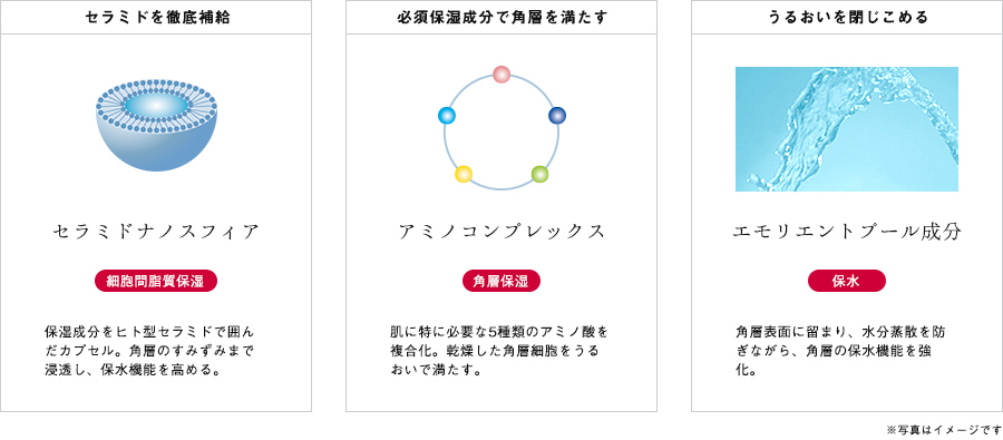 うるおいに満ち溢れた強く美しい肌へ。