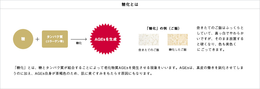 糖化とは