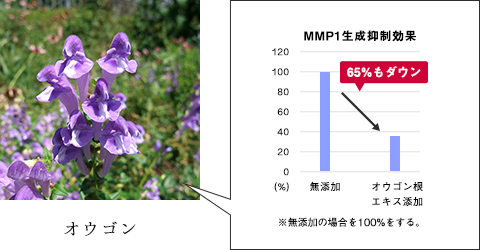 肌を脅かす環境ストレスをブロック。