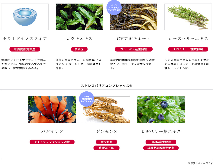 美しさ溢れる肌へ