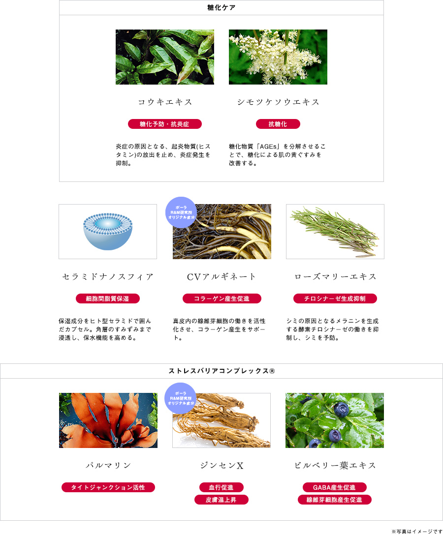 美しさ溢れる肌へ