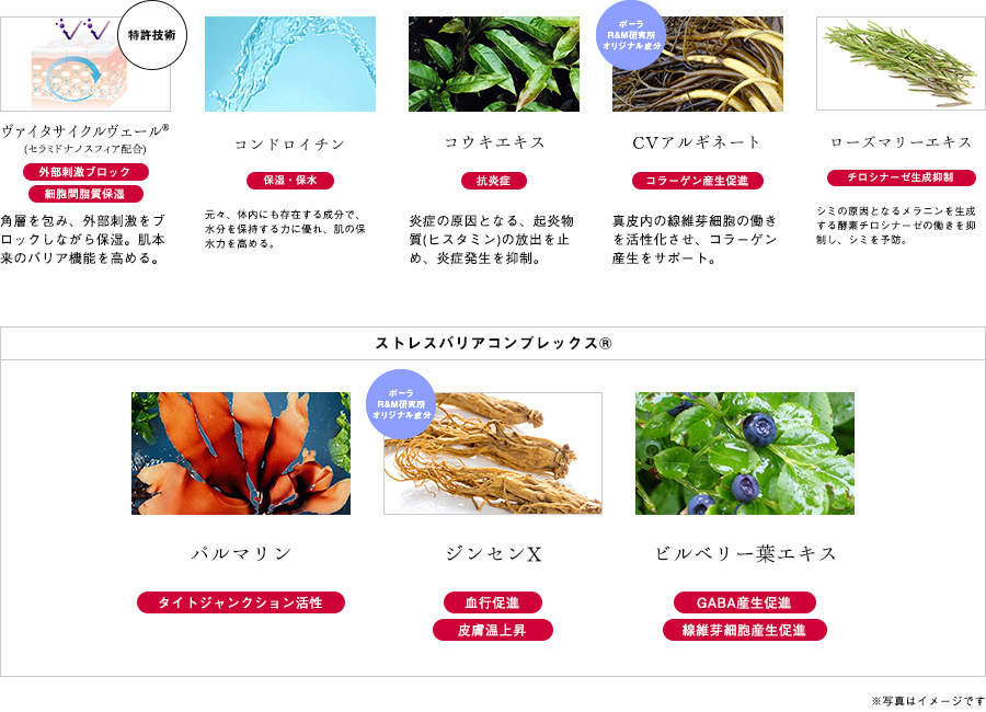 美しさ溢れる肌へ