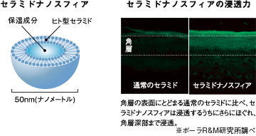 角層を豊かなうるおいで満たす高保湿成分「セラミドナノスフィア」配合