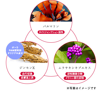 ã¹ãã¬ã¹ã«ãããã¡ã¼ã¸ãåå´ããã±ã¢