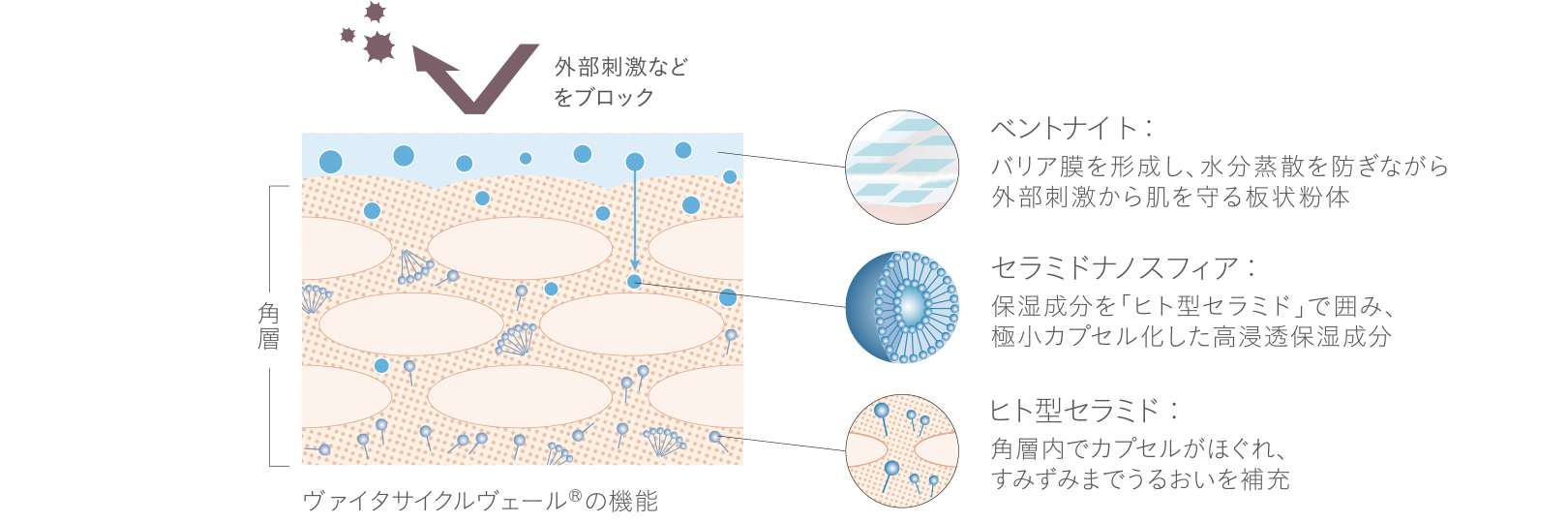 うるおいの層となって肌に密着