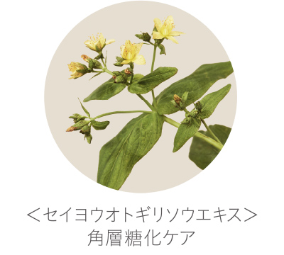 敏感肌特有のくすみをカバー