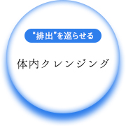 体内クレンジング