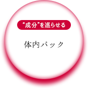 体内パック