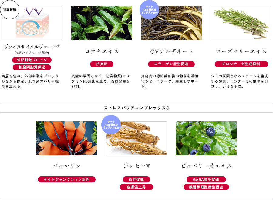 美しさ溢れる肌へ