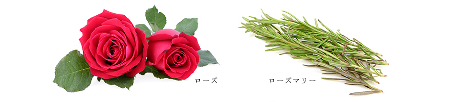 こころを解きほぐす香り