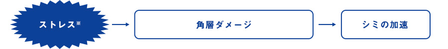 ストレスによるシミのメカニズムに着目