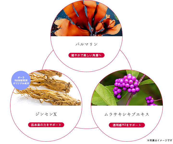 紫外線による肌ダメージ比較