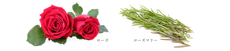 こころを解きほぐす香り