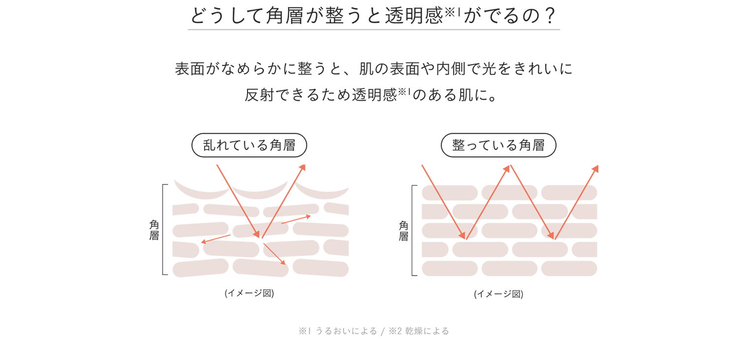 イメージ図
