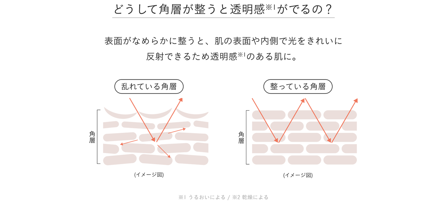 どうして角層が整うと透明感がでるの？