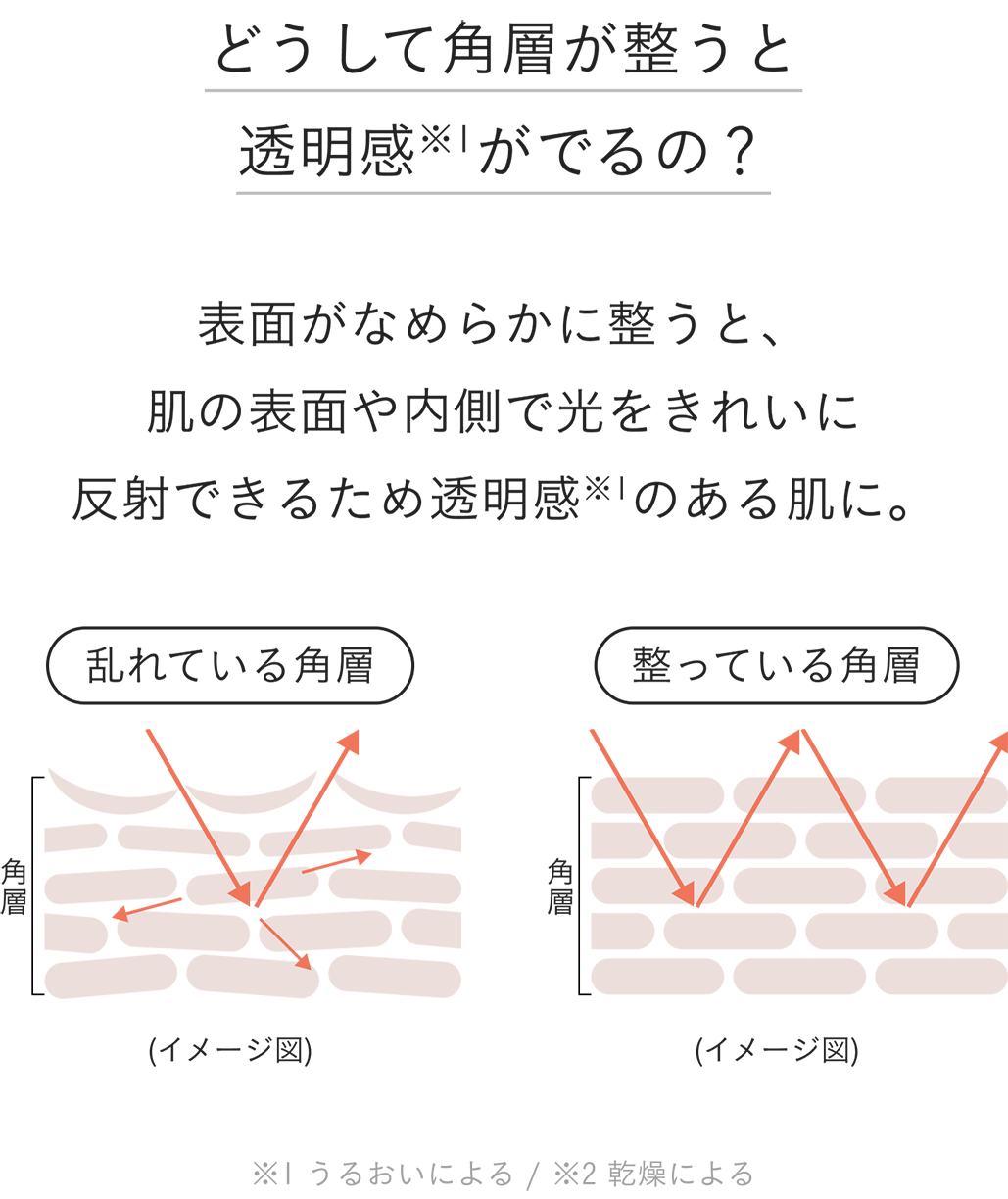 イメージ図