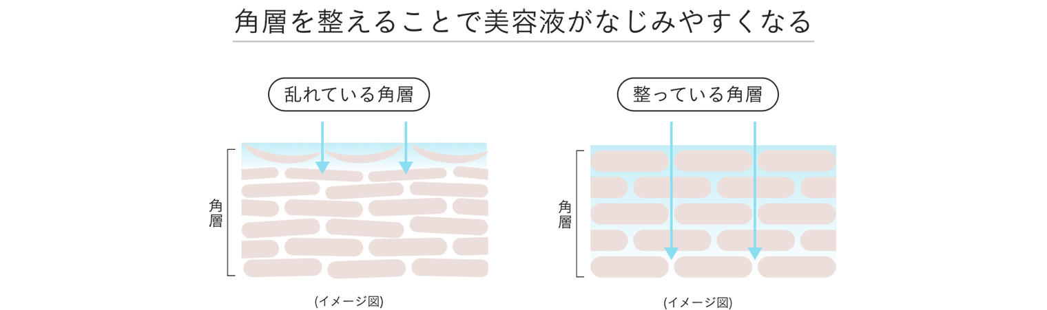 紫外線はなぜ、肌への刺激となるのか