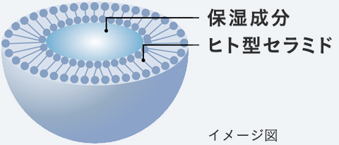 セラミドナノスフィア