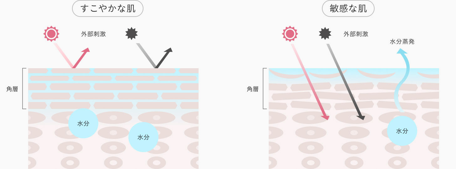 すこやかな肌 敏感な肌のイメージ図