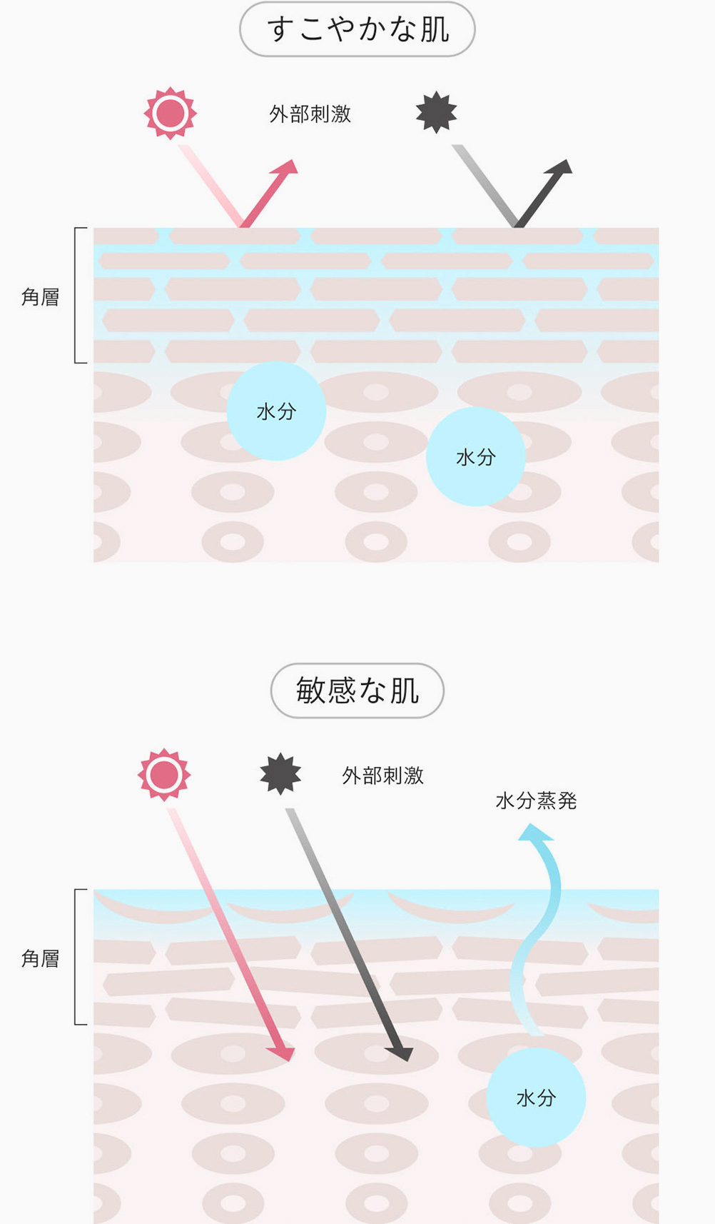 すこやかな肌 敏感な肌のイメージ図