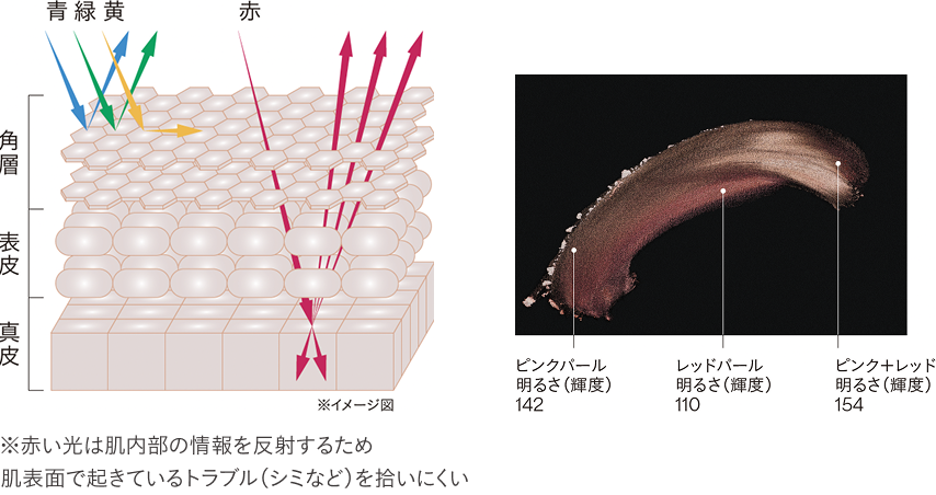 カモフラージュ力を活かす「ハイカバー赤色パウダー」