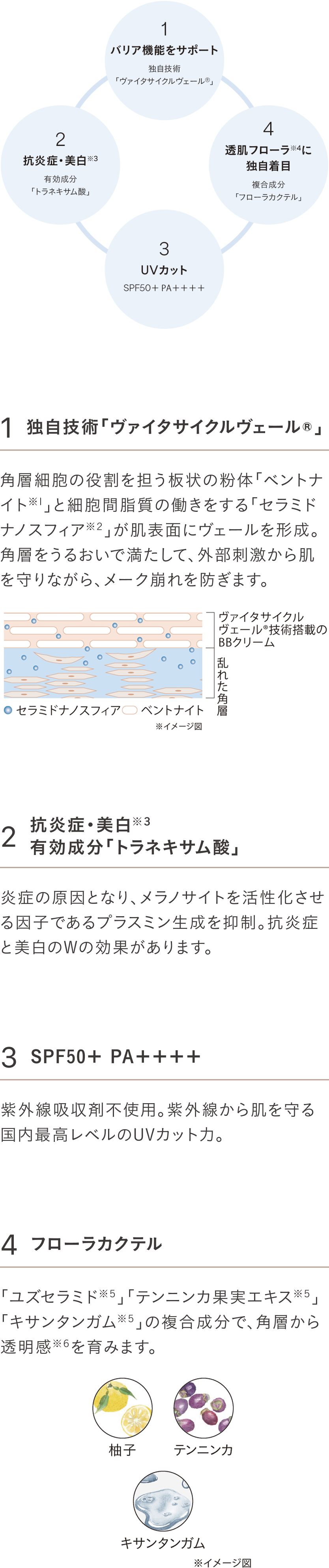 コンディショニング設計で、敏感肌にアプローチ。日々のメークから健やかで美しい肌へ。