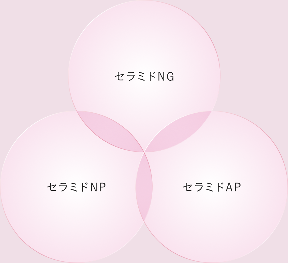 3種のヒト型セラミドによるセラミドコンプレックス