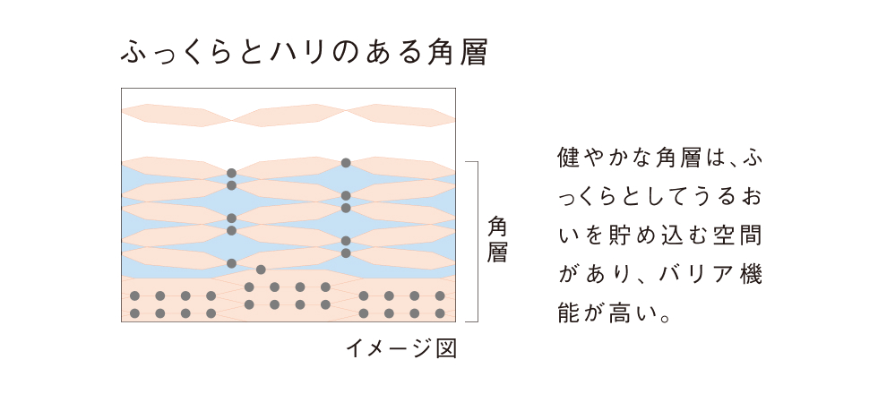 ヴァイタサイクルヴェール®︎