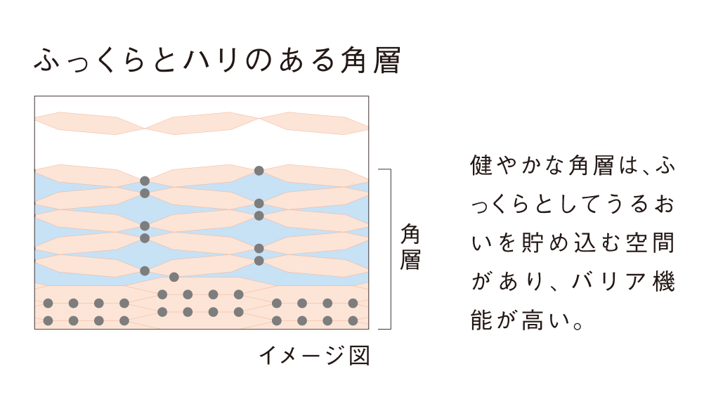 ヴァイタサイクルヴェール®︎