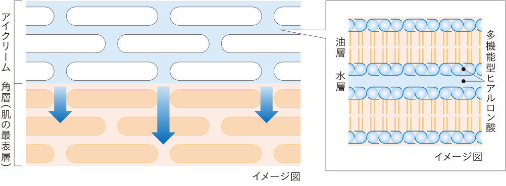 目もとの美しさを支えるために。​疑似角層技術「アイゾーンラメラヴェール」​