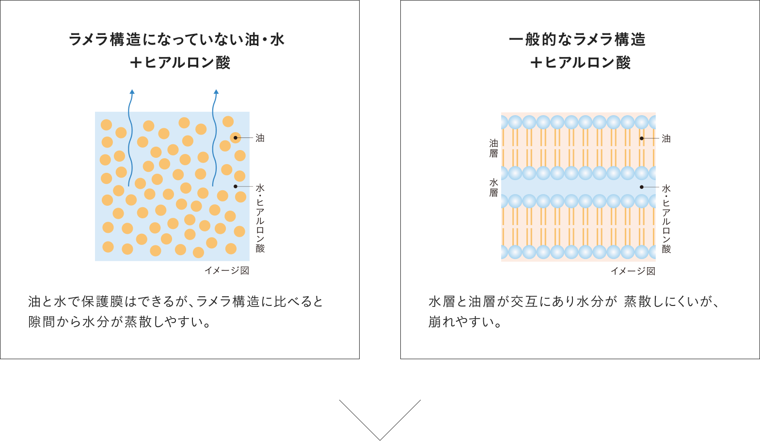 「ラメラ構造を強化」した疑似角層とは？​