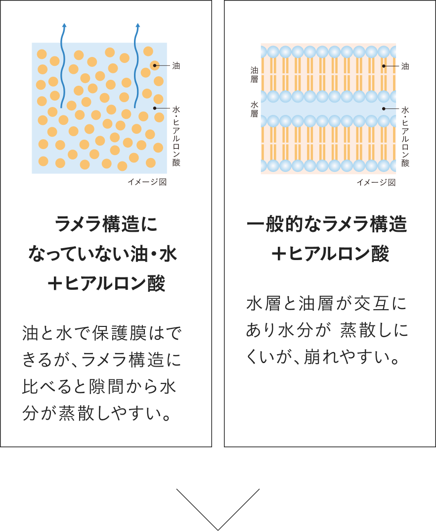「ラメラ構造を強化」した疑似角層とは？​