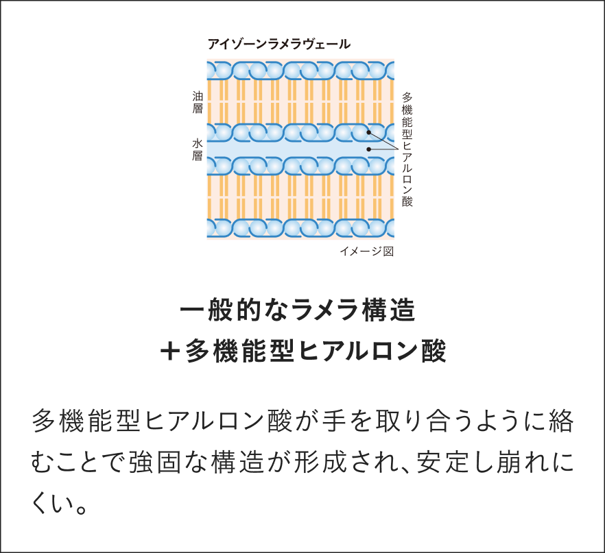【独自技術】 アイゾーンラメラヴェール