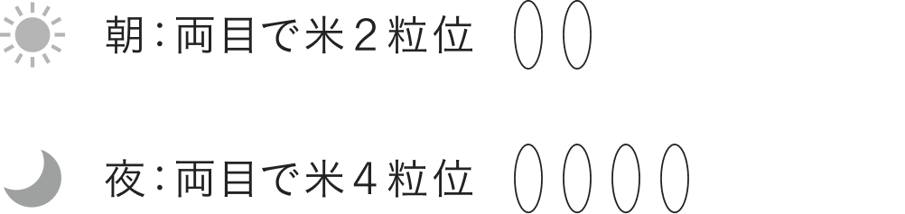 使用量の目安